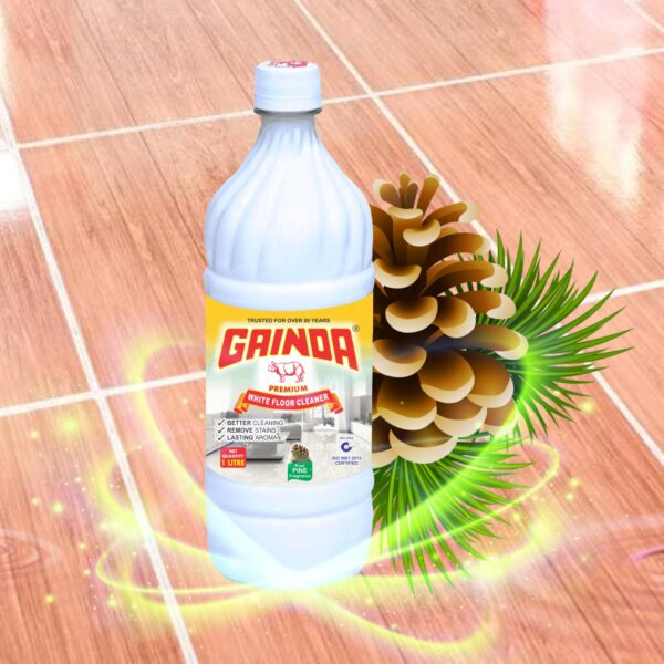 Gainda Premium White Floor Cleaner Disinfectant Phenyl Liquid Surface Cleaner for Hospitals, Homes, Offices & Commercial Use Removes Dirt, Stains & Germs - 1 L - Image 2