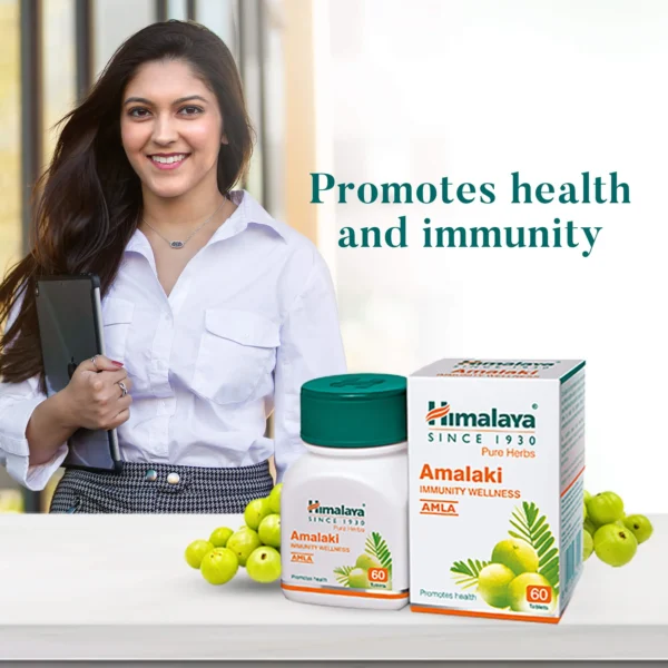 HIMLAYA Amalaki  (60 TABLET) - Image 2