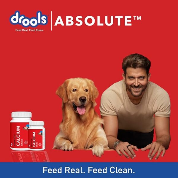Drools Absolute Dog Supplement Tablet, Calcium Flavor 180g (50 Pieces) - Image 3