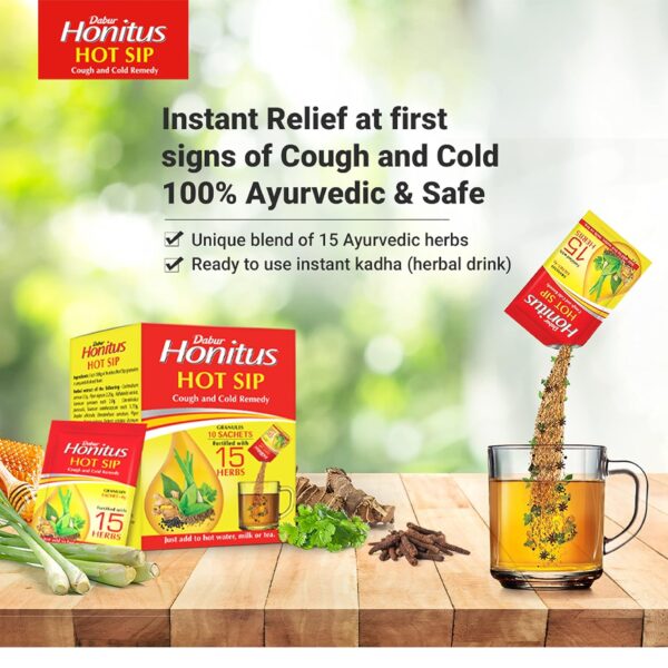 Dabur Honitus Hot Sip - Pack of 30 Sachets ( 4gx30 )| 100% Ayurvedic Kadha | Provides Instant Relief from Cough, Cold & Sore Throat | Natural Immunity Booster | Unique Blend of 15 Ayurvedic Herbs - Image 2