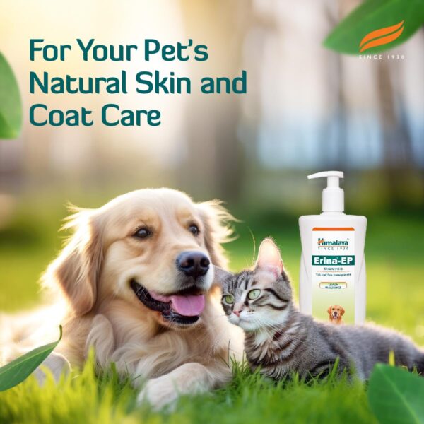 Himalaya Erina Ep Shampoo For Dogs And Cats, 200Ml - Image 7