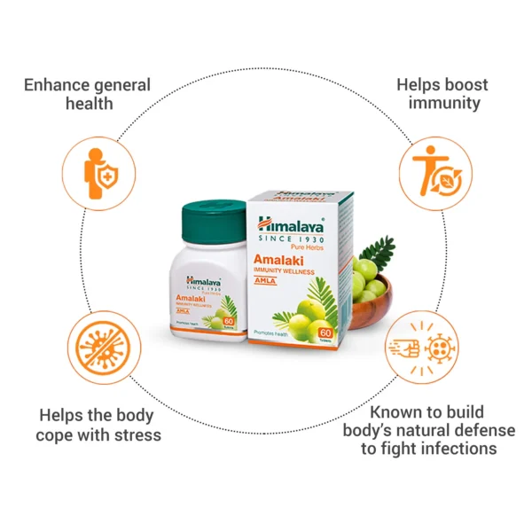 HIMLAYA Amalaki  (60 TABLET) - Image 4