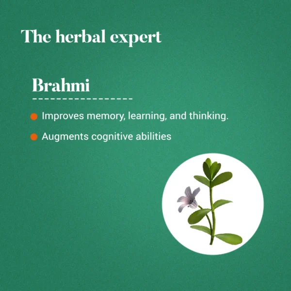HIMALAYA Brahmi (60 TABLET) - Image 3