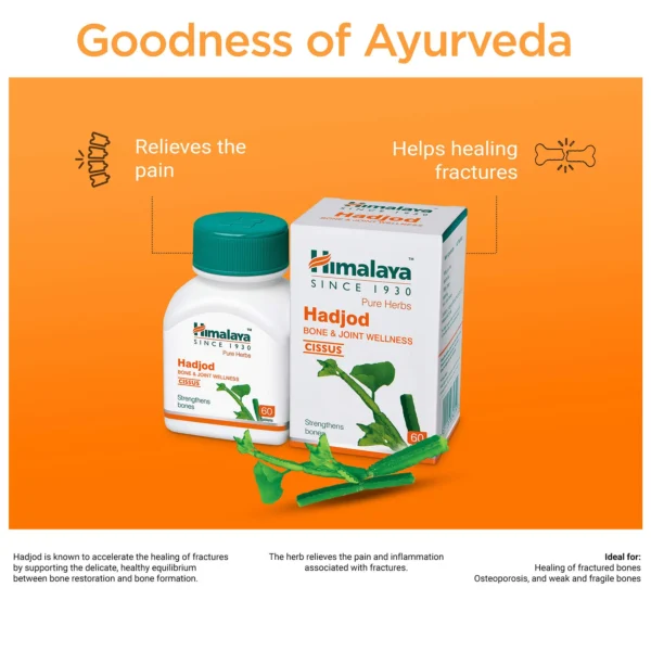HIMALAYA Hadjod (60 TABLET) - Image 3