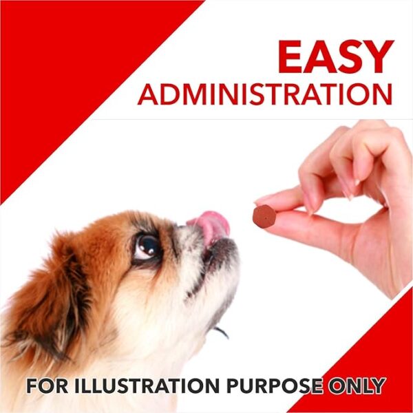 Drools Absolute Dog Supplement Tablet, Calcium Flavor 180g (50 Pieces) - Image 5