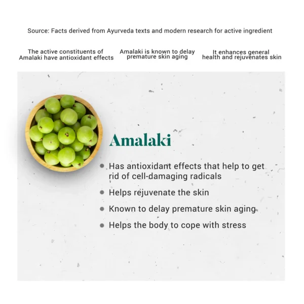 HIMLAYA Amalaki  (60 TABLET) - Image 3