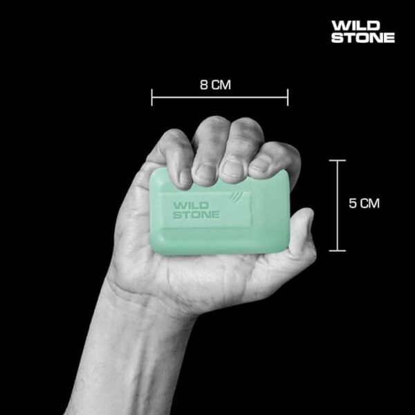 Wild Stone Soap Combo (3+1) for Men (125 g Each) - Image 3