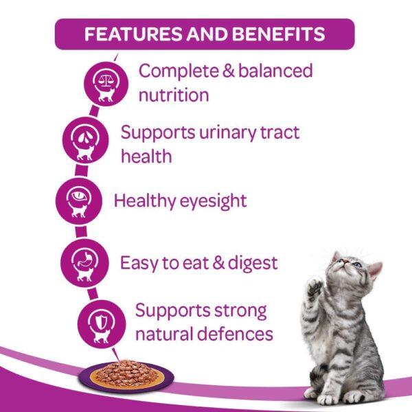 Whiskas Wet Food for Kittens (2-12 Months), Chicken in Gravy Flavour, 5 Pouches (5 x 85g) - Image 3