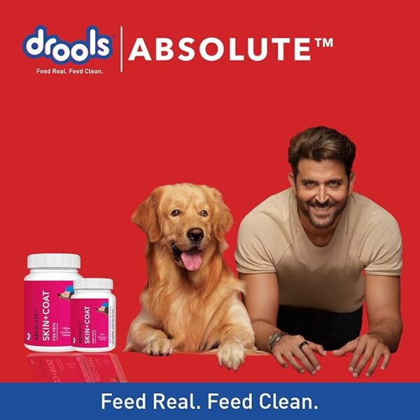 Drools Absolute Dog Supplement Tablet, Skin + Coat 200g 50 Pieces Jar - Image 3