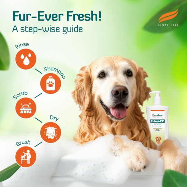 Himalaya Erina Ep Shampoo For Dogs And Cats, 200Ml - Image 4